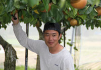 �����C���[�W