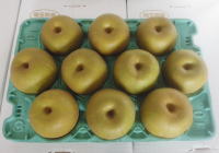 �����C���[�W