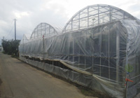 �����C���[�W